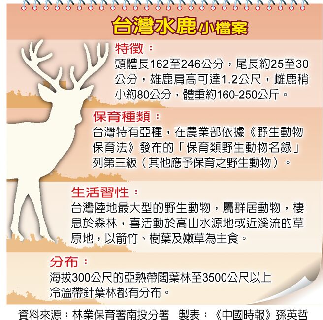 台灣水鹿小檔案