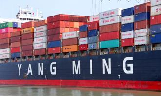 航海王玩完？去年13個月年終 陽明「今年數字曝光」嚇呆了