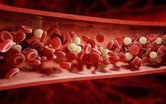 半年靠吃1物讓膽固醇恢復標準！醫揭關鍵好處：防腦中風