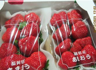 邊境攔截227公斤日本草莓農藥超標  食藥署：最高等級查驗