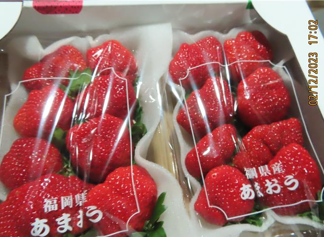 2批日本进口鲜草莓被检出农药残留不合格，于边境退运或销毁。（食药署提供）