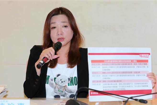 民眾党立委陈琬惠。（本报资料照片）