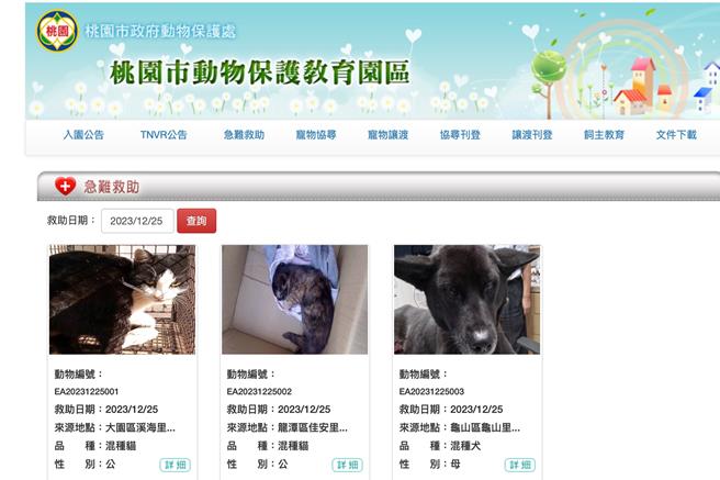 桃園市自20日起急難救助動物將不再入園，改為於官網公告急難救助動物資訊，供遺失毛小孩的民眾查詢。（圖取自桃園市動保處官網／陳夢茹桃園傳真）