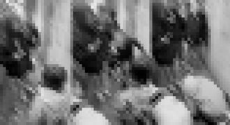 新北國三生命案！加害男女學生爆黑歷史    砸雞蛋霸凌女同學拍片上網 