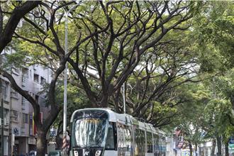 高雄輕軌營運許可發布 高捷：元旦起至225免費搭乘