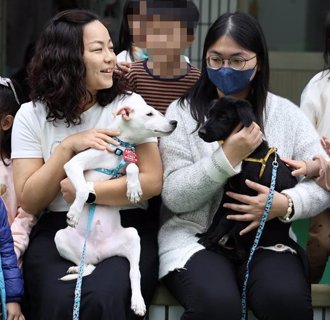受虐浪毛孩當「狗助教」前進幼兒園 傳遞生命教育故事