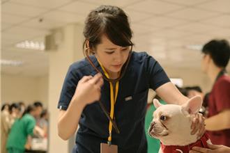 「台大獸醫乃」領軍攜手劍橋 解決短吻犬呼吸道疾病問題