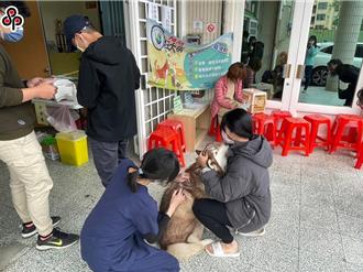 苗栗县南庄首例狂犬病！ 防检署：宠物未打疫苗最重罚15万