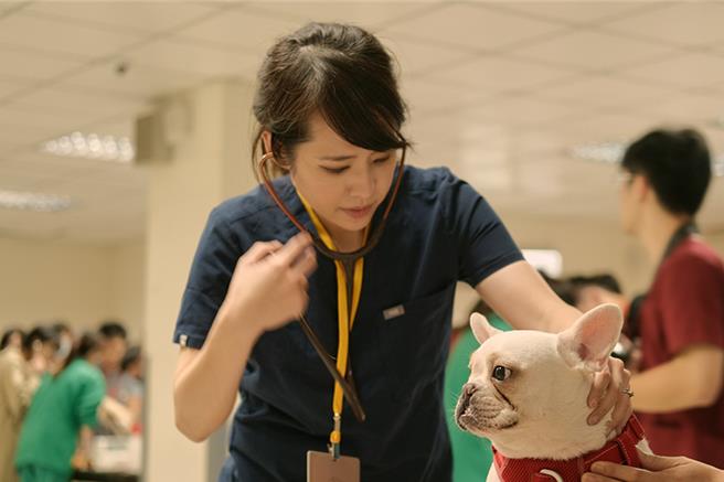 台大獸醫專業學院助理教授劉乃潔於2023年舉辦3場獸醫師訓練課程。（台大提供）