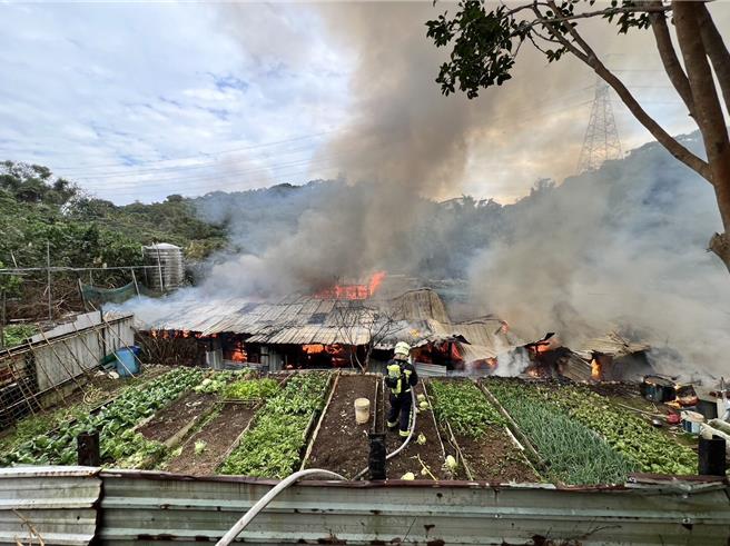 桃園市龜山區風尾街1間工寮今天下午發生火警，現場40多隻蛋雞慘遭祝融，桃園市消防局獲報，派出28人、11車趕往救援，所幸無人傷亡，火勢在13時54分撲滅。（翻攝照片）