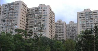 「做過去沒人做的事」反遭罷免　大鵬華城前主委怒控「黑箱作業」