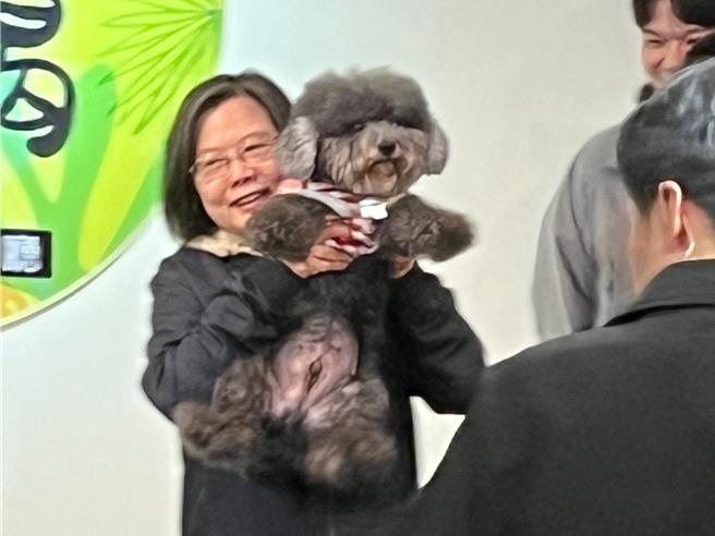 活動結束後，蔡英文又抱起小狗、貓咪，似乎捨不得離開。（王揚傑攝）
