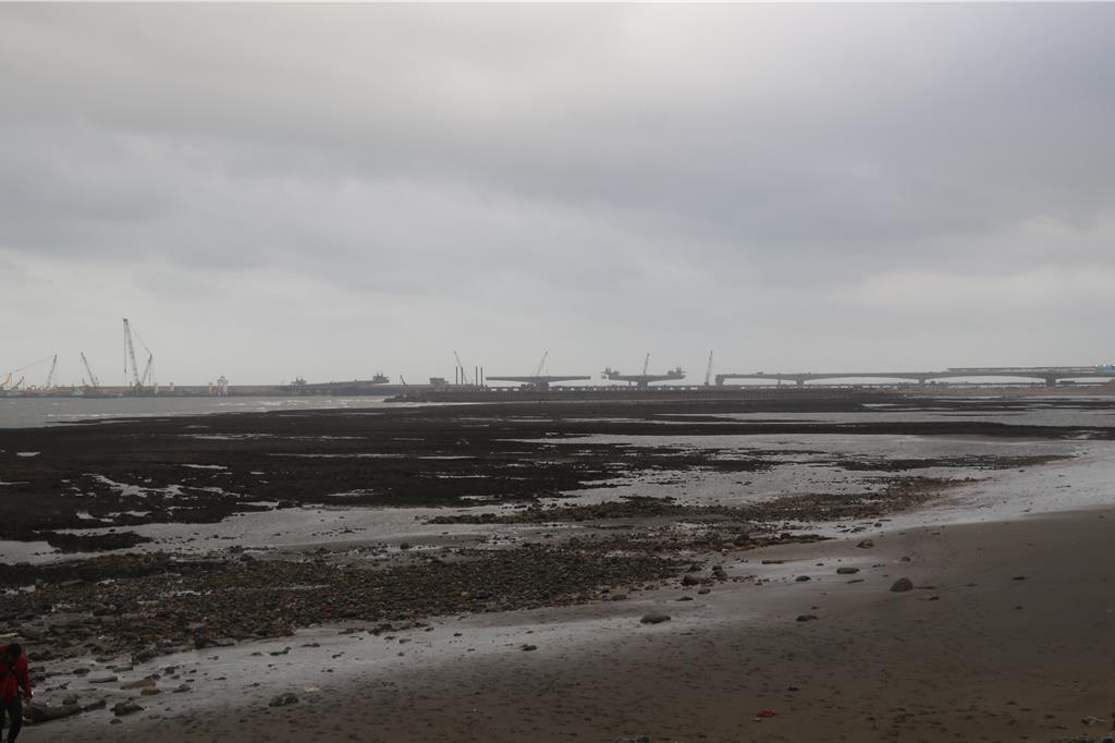 桃園市大潭藻礁生態備受關注，遠處為中油三接工程。（蔡明亘攝）