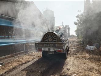 台南入冬以來首見 麻豆區萬餘隻土雞禽流感全撲殺