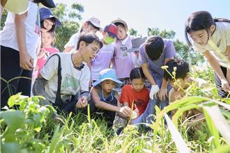 新北社造獎補助徵件 最高金額可達520萬