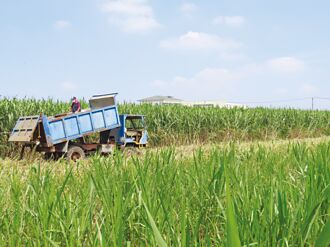 鑽石轉投資地天泰 進軍印尼