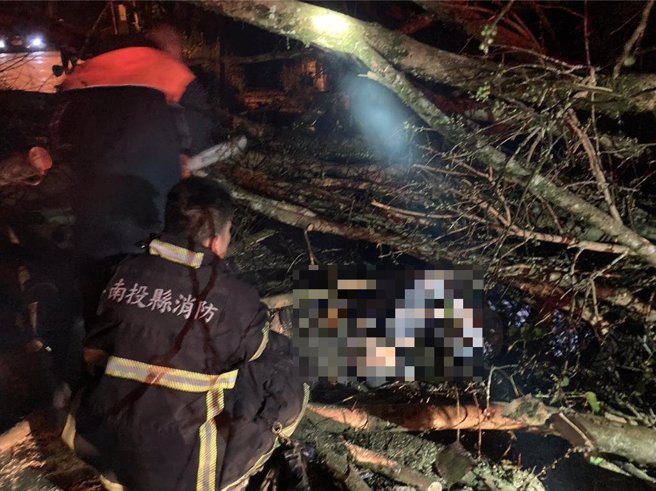 倒塌大樹砸傷4人，其中1名長輩頭部有大型開放性撕裂傷、大腿疑似骨折，傷勢較嚴重。（民眾提供／楊靜茹南投傳真）