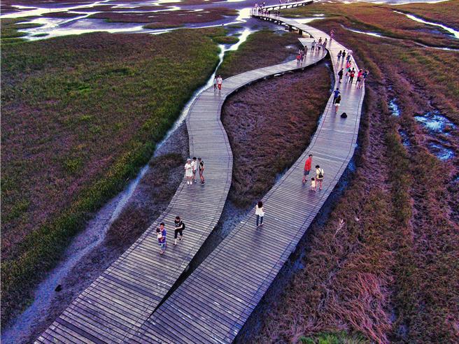 台中市日前凌晨发生2男骑乘机车进入高美溼地破坏，农业局29日指出，依法各处以最高25万元罚锾。（台中市农业局提供／陈淑娥台中传真）