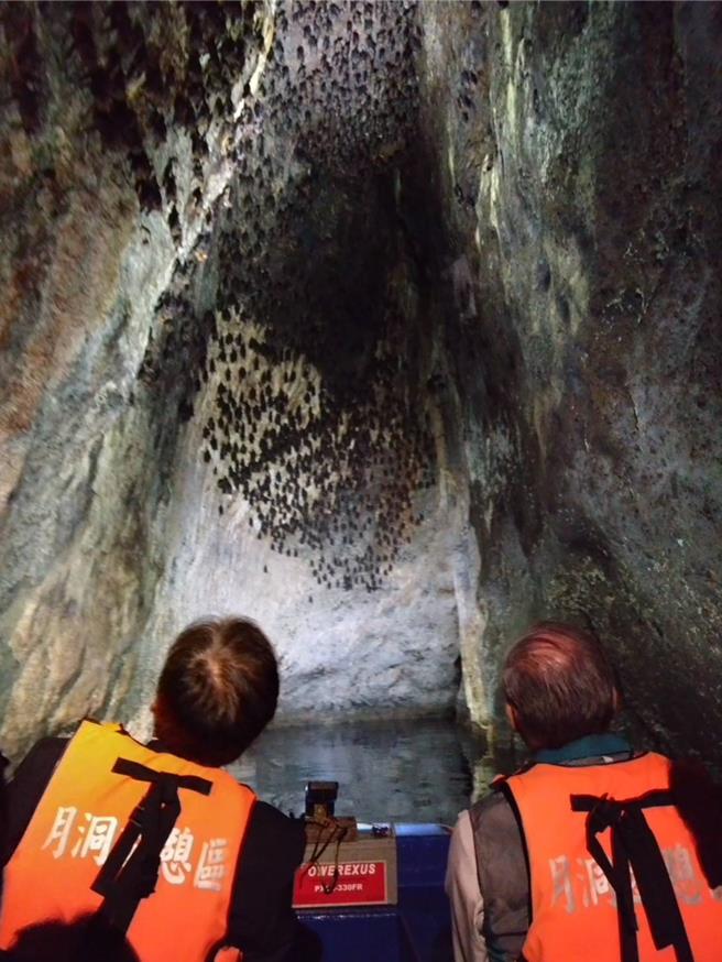 豐濱鄉月洞遊憩區，可觀察台灣葉鼻蝠珍貴稀有蝙蝠，冬季洞穴聚集2000隻蝙蝠。遊客可乘船觀察蝙蝠生態。（豐濱鄉公所提供／王志偉花蓮傳真）