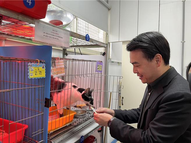艾肯娱乐执行长刘仲铭学习与猫咪互动。（新北市动保处提供）