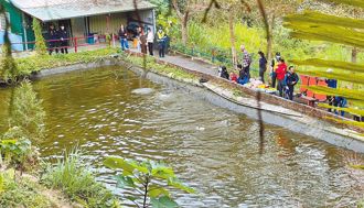 父子苗栗休閒農場魚池溺斃 業者：無限期停止營業