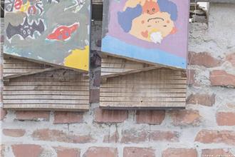 新竹地區霜毛蝠年度調查！人工蝙蝠屋利用大增