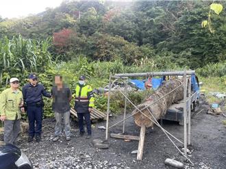 國有珍貴紅檜運贓 警林聯合「獵鼠小組」埋伏順利逮人
