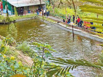 连假酿憾事 父为救子双双溺毙鱼池