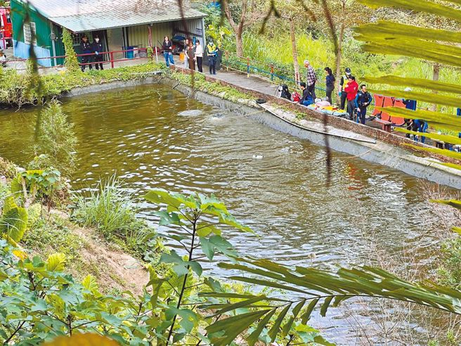 苗栗縣卓蘭鎮壢西坪一家休閒農場釣魚池，30日中午驚傳父子溺斃意外。（資料照片/謝明俊攝）
