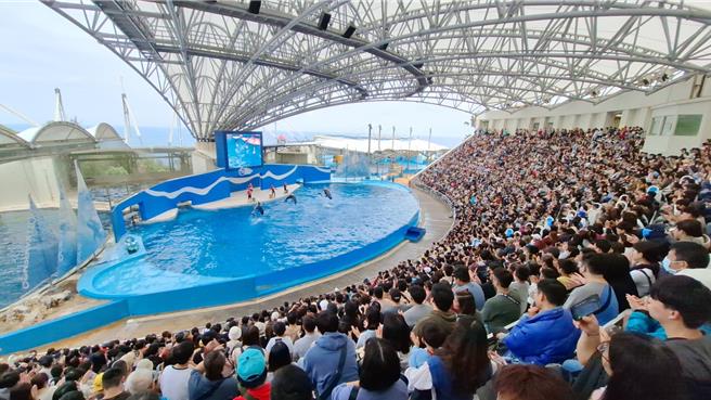 花莲远雄海洋公园元旦连假3天涌入大批游客，3天入园人次有望破万。（远雄海洋公园提供／罗亦晽花莲传真）