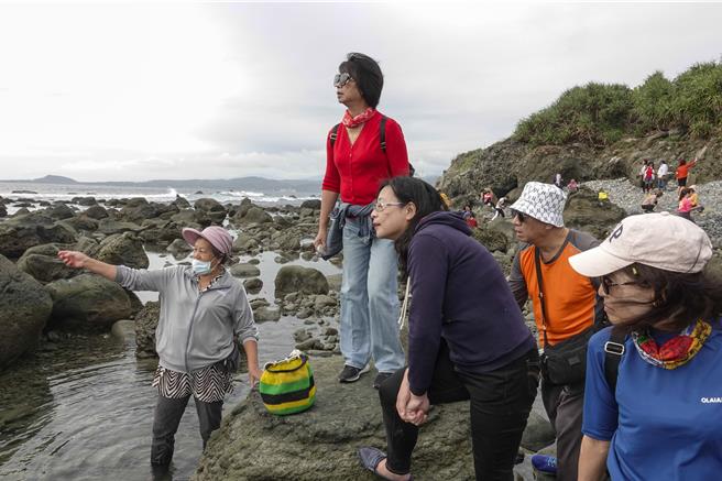 参加「爱在都兰」公益行脚活动的来宾参访阿美族传统领域都兰鼻，到海边採集海产的妇女为来宾介绍环境与生物。（黄子明摄）