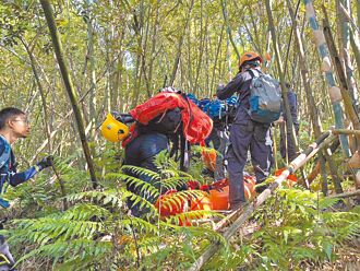 新北 「郊山虎头蜂情报站」5月上线