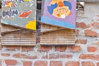 霜毛蝠數量減少 竹市蓋蝙蝠屋