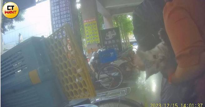 「猫贩子」打着领养大旗行贩卖之实，还直接约在路边「看货」，猫咪在惊恐之下险些逃脱。（图／本刊摄影组）