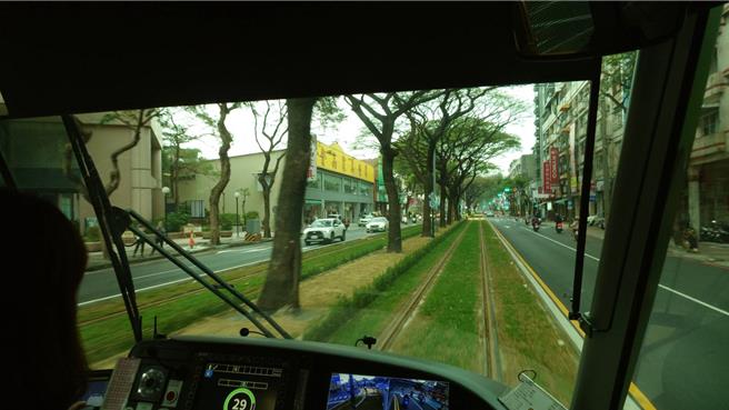 輕軌成圓行經大順路雨豆樹「綠巨人隧道」，除能欣賞美麗景致外，也能成為當地居民便利通勤工具。（任義宇攝）