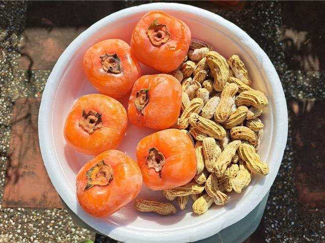 对于要改变运势，民俗专家廖大乙说可以准备柿子与花生参拜或和别人结缘，相信「好事（音同柿）会发生（花生的谐音）」。（廖大乙提供／林瑞益高雄传真）