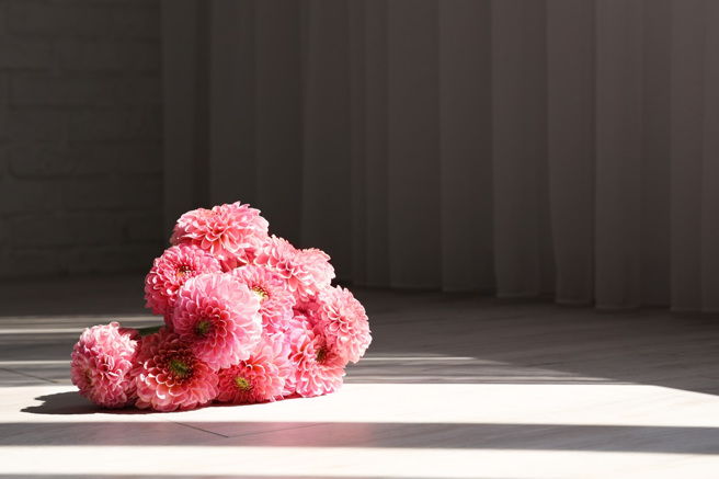 紐西蘭一名女子下班回家發現臥室地上鋪滿花，以為是老公給的驚喜，未料真正的「送花使者」其實是一隻流浪貓。(示意圖/達志影像)