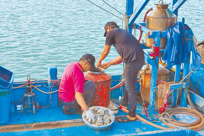 放水仔正在补充磺石。（杨婷雅摄）