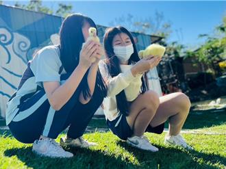 幼鵝萌樣曝光！ 台中校園喜迎新生命、成最好的生命教育