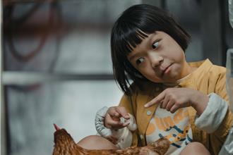 喜翔養雞、划船兼顧網紅孫 童星陳馨妃首演短片《殺雞》