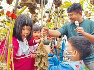 屏東 八甲田農場食農教育 走進南瓜田