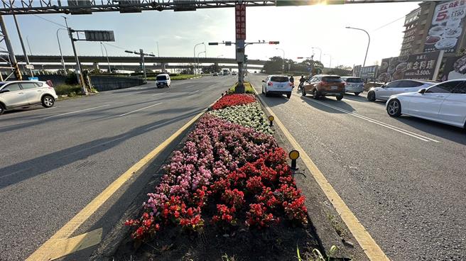 桃園市大園區公所慶新年，為中正東路中央分隔島施作植栽綠美化。（大園區公所提供／蔡明亘桃園傳真）