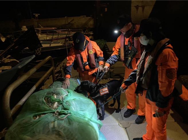 海巡署「岸、海联合勤务扩大威力扫荡」打击走私、偷渡案件，防杜非洲猪瘟等疫病入侵，净化选前海域治安。(图／海巡署提供)