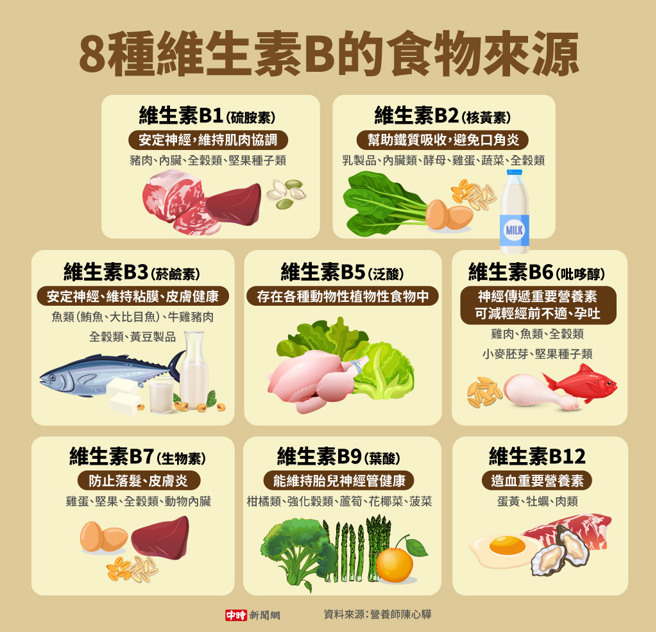 8种维生素B的食物(制图/中时新闻网)