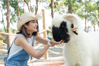 萌宠乐园全新试营运 首日吸引上千人与可爱动物互动