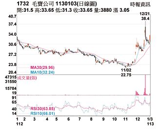 熱門股－毛寶 鎖住漲停委買高掛