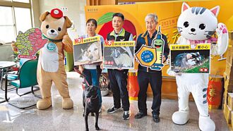 1個月3起鼬獾咬人 南市府籲民眾留意