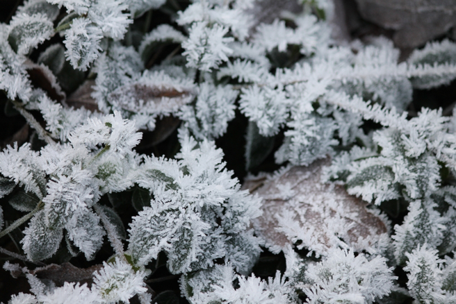 命理师指出，小寒节气到来，象徵季冬时节正式开始，在这段期间，勿触犯相关禁忌，以免招来衰运，损及健康。（示意图／达志影像／shutterstock）