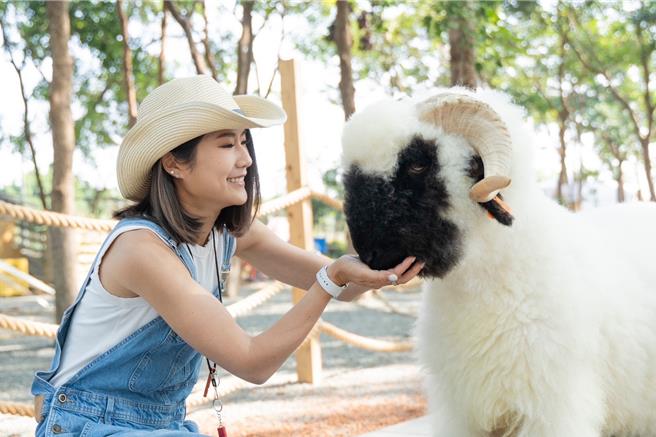 「咩咩上树萌宠乐园」首批申报引进42只动物，可爱模样十分讨喜。（嘉义县文化观光局提供∕吕妍庭嘉义传真）