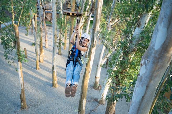 「咩咩上树萌宠乐园」分3大主题，预计今年2月会正式开幕。（嘉义县文化观光局提供∕吕妍庭嘉义传真）